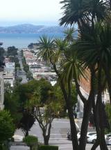 Near the Lyon Street Stairs in Pacific Heights/Presidio.